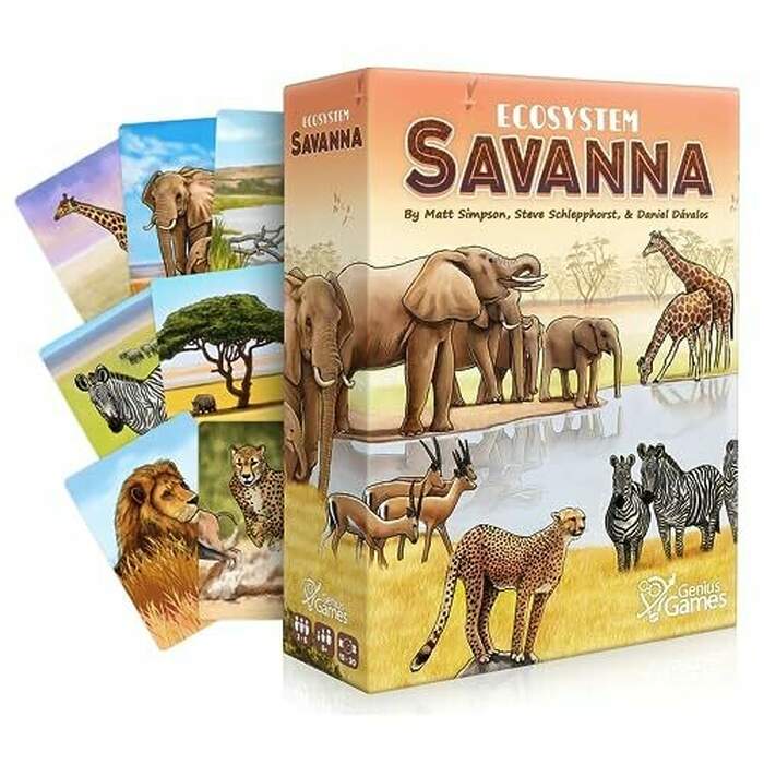 Ecosystem: Savanna | A Family Card Game About Animals on Grassy Woodland of African Savanna