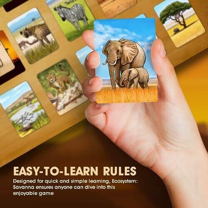 Ecosystem: Savanna | A Family Card Game About Animals on Grassy Woodland of African Savanna
